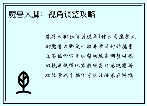 魔兽大脚：视角调整攻略